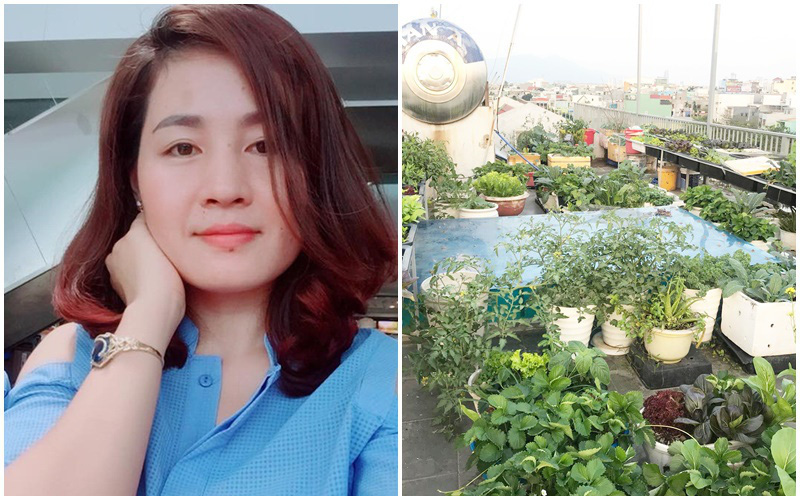 Mong con được ăn rau sạch hàng ngày, bà mẹ Đà Nẵng trồng cả sân thượng tươi tốt nhờ kinh nghiệm đơn giản