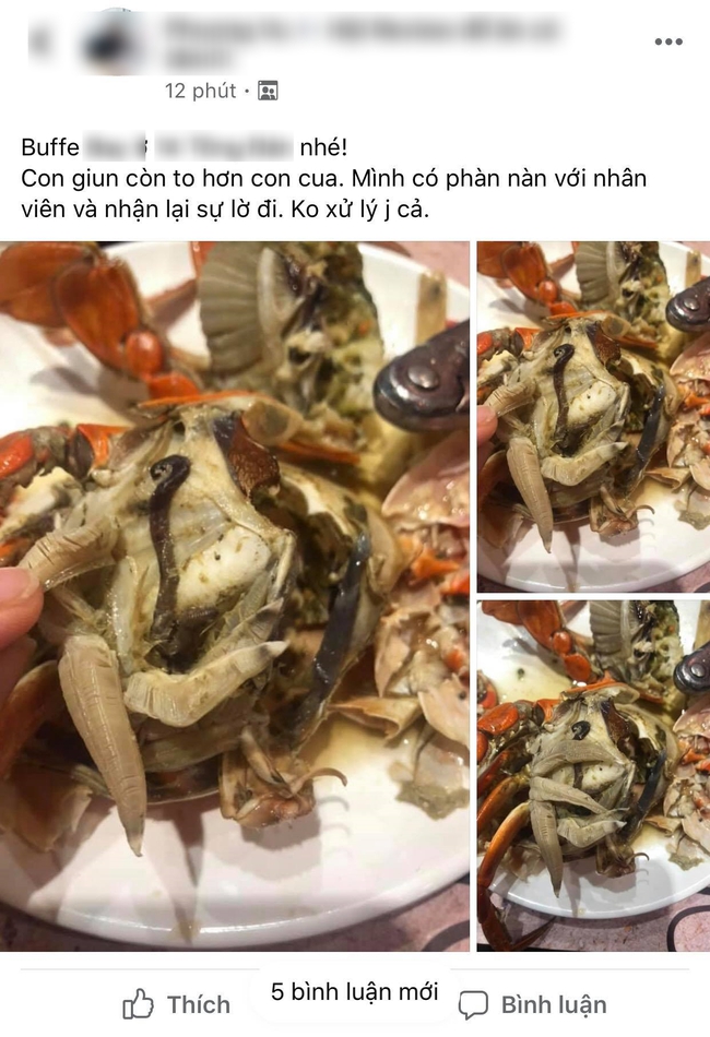 Nhà hàng buffet hải sản nổi tiếng Hà Nội bị thực khách hốt hoảng tố "cua có giun", lời giải thích về sự thật chú giun là gì khiến ai cũng bất ngờ?! - Ảnh 3.