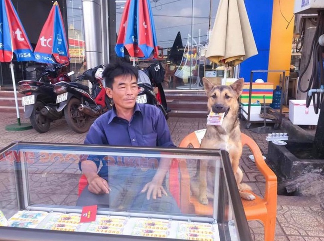 Chú chó khiến dân mạng thích thú với thâm niên theo chủ đi bán vé số, bất ngờ hơn cả là cách chú ta phản ứng khi có khách chạm vào tập vé ngậm trong miệng - Ảnh 2.