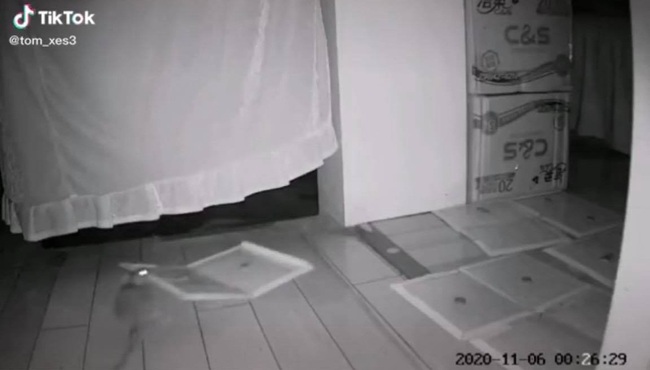 Bắt mãi không được con nào, chủ nhà soi camera thì phát hiện chuột đã "thành tinh", ngang nhiên dẹp cả chiếc bẫy sang một bên để gọn lối đi lại - Ảnh 2.