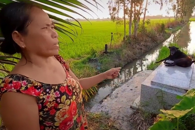 Kỳ lạ chuyện chú chó ở miền Tây quấn quýt bên mộ chủ suốt 3 năm không rời: "Ai cho nó đồ ăn nó cũng đem ra để trước mộ, trừ khi mưa thôi còn nắng ráo là cứ nằm đó" - Ảnh 3.