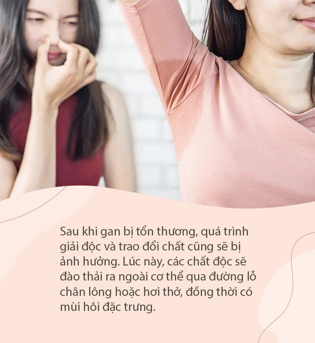 Khi gan bị tổn thương, 3 bộ phận trên cơ thể này sẽ "bốc mùi", cần đặc biệt lưu ý  - Ảnh 1.