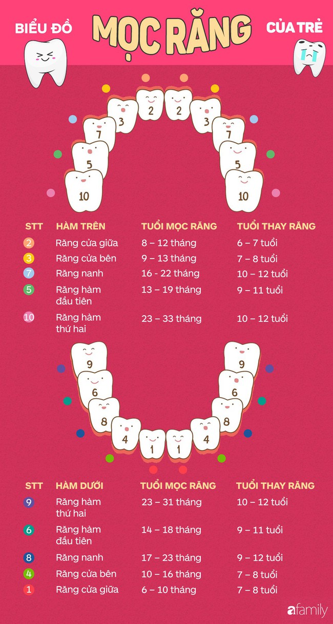 Biểu hiện rõ rành rành cho thấy em bé nhà bạn đang mọc răng và cách giúp xoa dịu trẻ đang trải qua giai đoạn này - Ảnh 2.