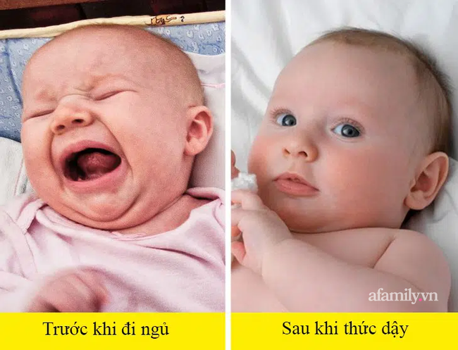 Giải mã được những hành vi này của con, cha mẹ sẽ biết con mình đang muốn gì - Ảnh 3.