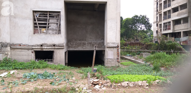 Xót xa những tòa chung cư cửa ngõ thủ đô hàng chục năm cỏ mọc xanh không được sử dụng - Ảnh 10.