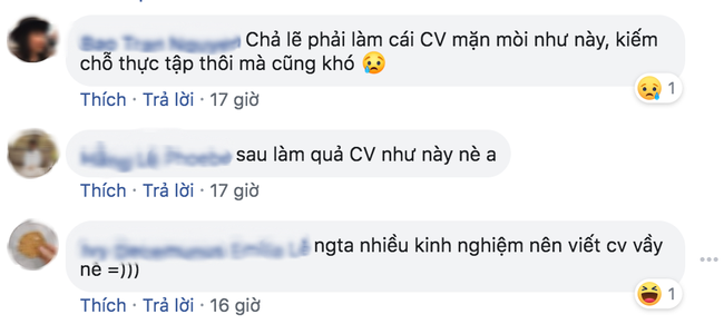 Chàng trai thật thà nhất quả đất: Ghi vào CV từng làm bảo vệ, sở thích ngắm mỹ nữ và mục tiêu nghề nghiệp là kiếm tiền mua xe hơi! - Ảnh 7.