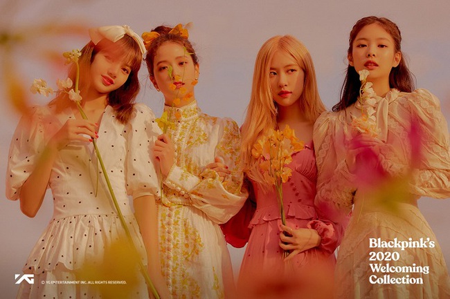 YG xác nhận BLACKPINK sắp có "em gái", netizen Hàn liền kêu gọi tẩy chay, màn comeback sắp tới có nguy cơ bị lơ đẹp - Ảnh 5.