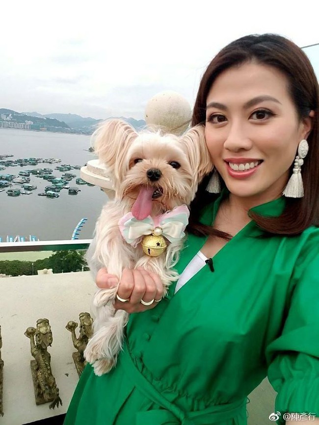 "Gia đình vui vẻ" của TVB: Nam phụ ẻo lả là tỷ phủ sống chung 3 bà vợ, nữ chính hát quán bar từng yêu Tạ Đình Phong - Ảnh 8.