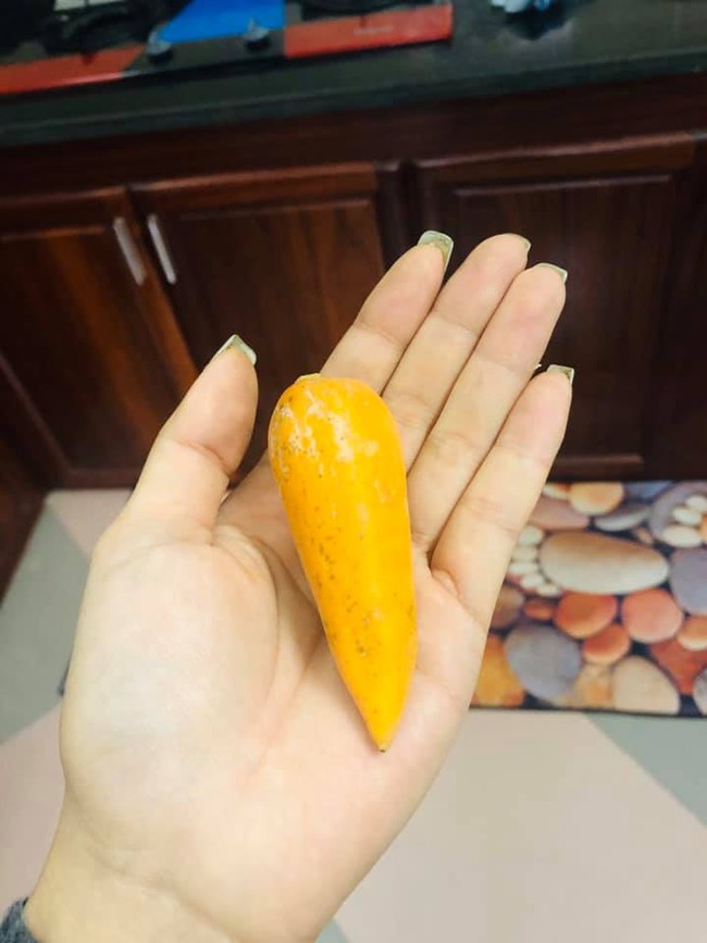 Mẹ trẻ tự trồng cây đu đủ để ăn, đến khi thu hoạch nhận về "củ cà rốt" hoành tráng phát khóc, to đúng bằng... nửa nắm tay - Ảnh 2.