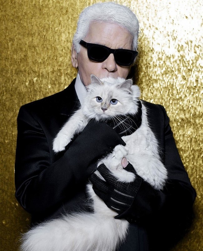 "Ông hoàng thương hiệu Chanel" Karl Lagerfeld: Người "nghiện xê dịch" sở hữu nhà ở mọi nơi trên thế giới, thích sống cô độc và mối tình đồng giới duy nhất được thừa nhận - Ảnh 7.