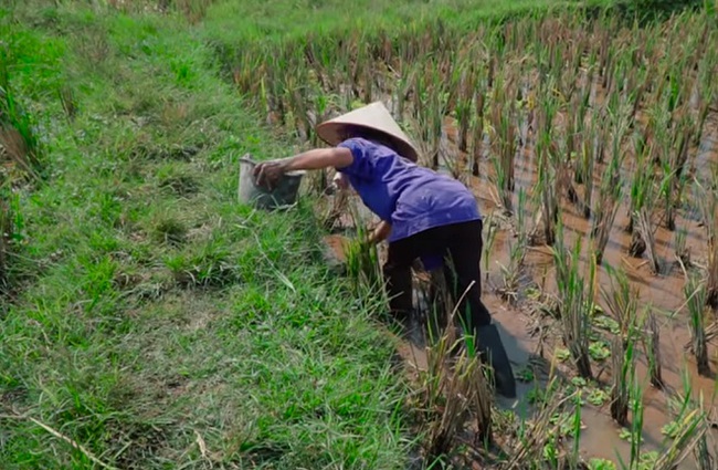 Bà Tân Vlog từ một kênh nổi tiếng với những món "siêu to khổng lồ", trở thành nơi hứng "gạch đá" đủ để... xây nhà - Ảnh 3.