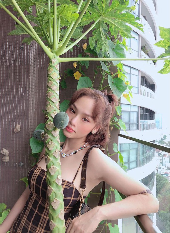 Miu Lê đứng chụp hình bên cây đu đủ.