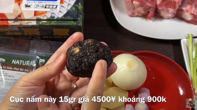 Quỳnh Trần JP chơi lớn với vlog làm phở từ nguyên liệu nhà giàu gồm thịt bò Kobe và nấm Truffle, 1 tô phở của nàng bằng vài chục tô ở Việt Nam - Ảnh 4.