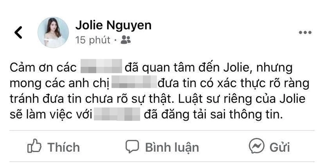 Hoa hậu Jolie Nguyễn chính thức lên tiếng về tin đồn liên quan đến đường dây mại dâm 30.000 USD - Ảnh 2.