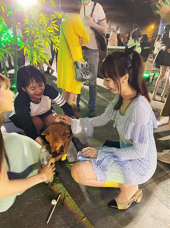Bất ngờ về chú chó Shiba trong phim Cậu Vàng: Từ một chú chó bị tự kỷ, hay cắn người đến một "diễn viên 4 chân duy nhất trên màn ảnh Việt" được mọi người yêu thương - Ảnh 8.