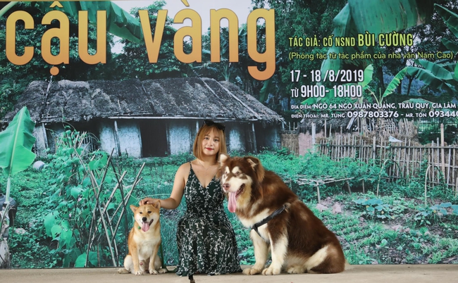 Bất ngờ về chú chó Shiba trong phim Cậu Vàng: Từ một chú chó bị tự kỷ, hay cắn người đến một "diễn viên 4 chân duy nhất trên màn ảnh Việt" được mọi người yêu thương - Ảnh 7.