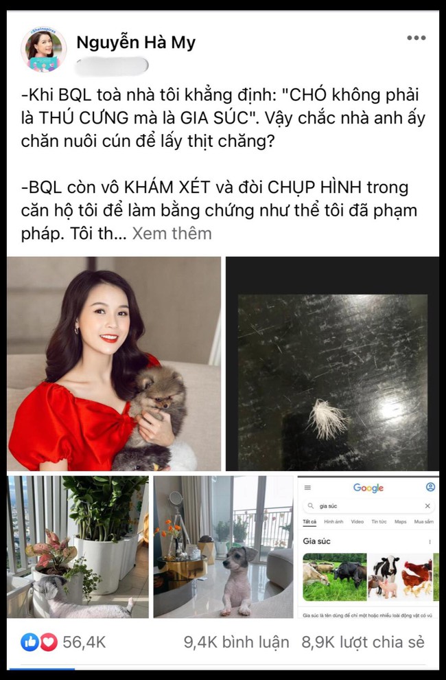 Nhiều người xem thú cưng như "con", mỗi tháng chi một khoảng tiền không nhỏ để chăm sóc chúng - Ảnh 1.
