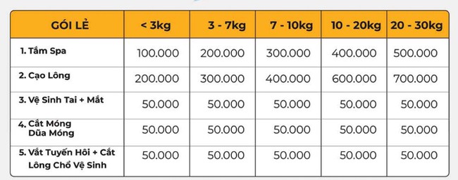 Nhiều người xem thú cưng như "con", mỗi tháng chi một khoảng tiền không nhỏ để chăm sóc chúng - Ảnh 4.