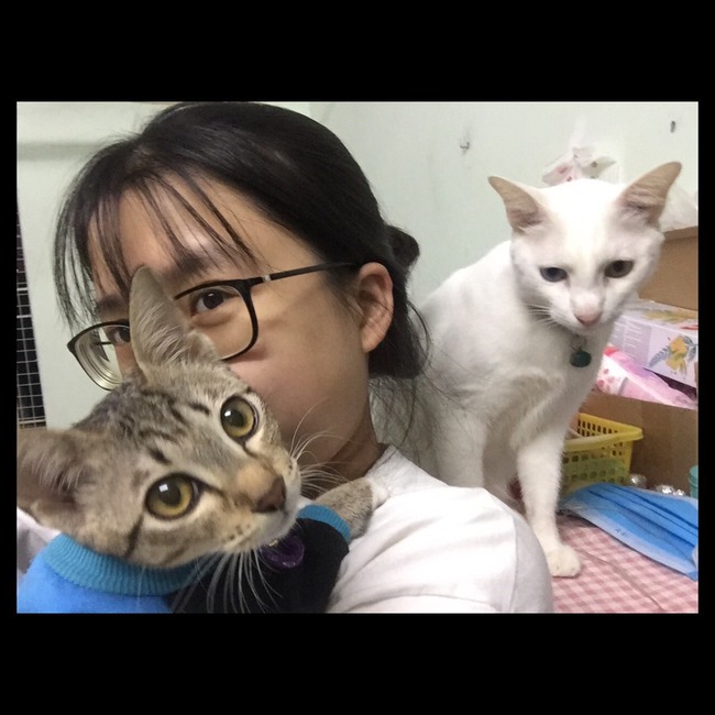 Nhiều người xem thú cưng như "con", mỗi tháng chi một khoảng tiền không nhỏ để chăm sóc chúng - Ảnh 2.