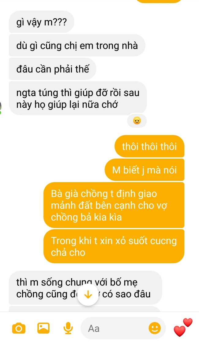 Em dâu luôn thân thiết, tôi chới với khi biết âm mưu thâm hiểm sau màn "thảo mai" ngoan hiền - Ảnh 2.