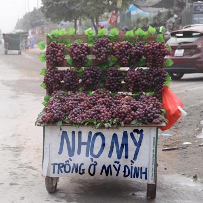 Hàng nho rong siêu to trên phố gây "xoắn não" người đi đường với biển hiệu giới thiệu xuất xứ vô cùng hài hước - Ảnh 1.