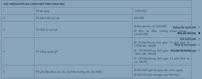 Danh sách các trường tư nổi tiếng ở Hà Nội có mức học phí dưới 150 triệu đồng/năm, bố mẹ cân nhắc tài chính để cho con học - Ảnh 4.