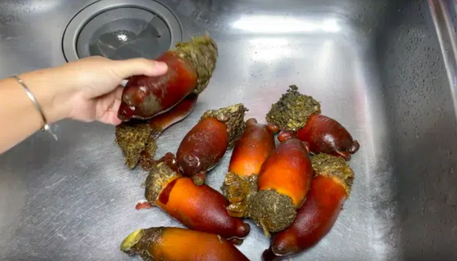 "Việc nhẹ lương cao" ở Hàn Quốc: Đứng tuốt loại sinh vật kỳ lạ ngay trên biển, nhận 50 triệu/ tháng - Ảnh 4.