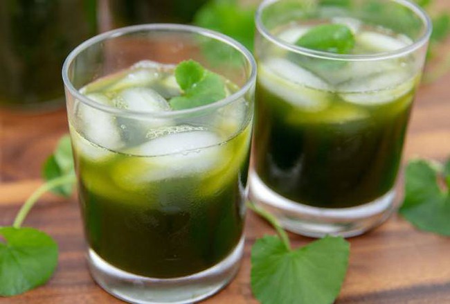  Loại rau dại đắt gấp 2 lần rau muống, rau lang vì bổ như "nhân sâm tự nhiên", tuy nhiên nhiều người Việt vẫn chưa biết cách dùng đúng - Ảnh 2.