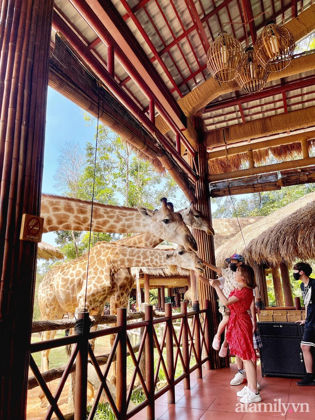 Mẹ Hà Nội kể hành trình đưa 2 con đi chơi tại Safari Phú Quốc, kết luận một câu: "Ai đang phân vân thì chốt luôn cho nhanh" - Ảnh 15.
