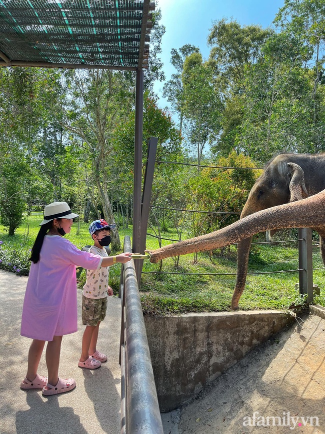 Mẹ Hà Nội kể hành trình đưa 2 con đi chơi tại Safari Phú Quốc, kết luận một câu: "Ai đang phân vân thì chốt luôn cho nhanh" - Ảnh 7.