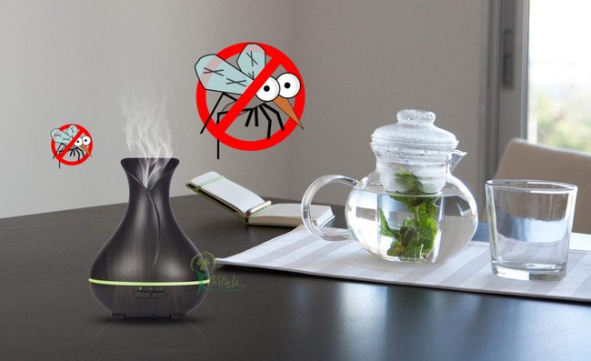Tránh mất tiền mà mua nhầm tinh dầu giả, đây là cách chọn "chuẩn" cho những ai còn chưa biết - Ảnh 12.