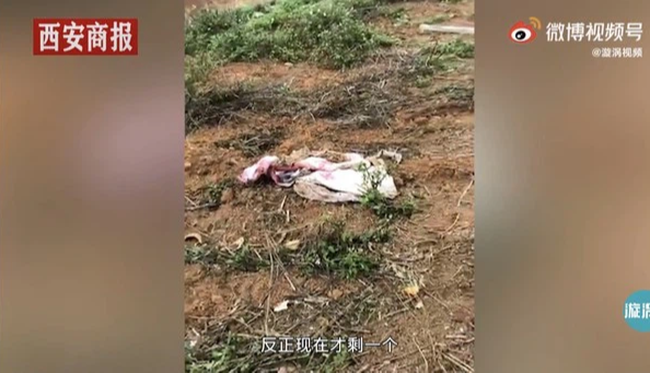 Tết Thanh Minh về quê tảo mộ, người đàn ông tá hỏa phát hiện mộ tổ tiên biến mất, sự thật được phơi bày khiến ai cũng tức giận - Ảnh 2.