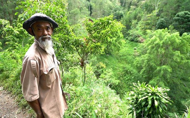 Lâm vào lầm than khi khu rừng gần nhà bị đốt trụi, cụ ông làm một chuyện bị chửi là "lão điên", nhiều năm sau lại khiến những kẻ dè bỉu phải xấu hổ - Ảnh 1.