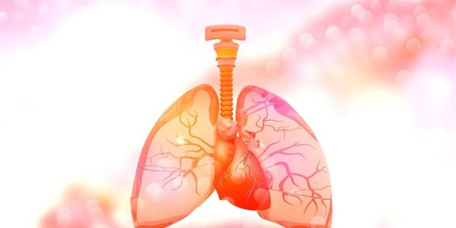 Mũi là “đèn tín hiệu” của phổi, ở mũi xuất hiện 3 dấu hiệu này cảnh báo bệnh phổi - Ảnh 1.