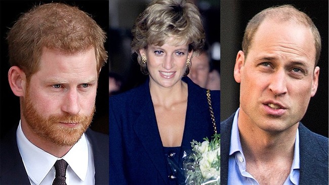 Harry đưa ra yêu cầu ngang ngược trong ngày trở về dự lễ tưởng niệm Công nương Diana và phản ứng của Thái tử Charles đã nói lên tất cả - Ảnh 1.
