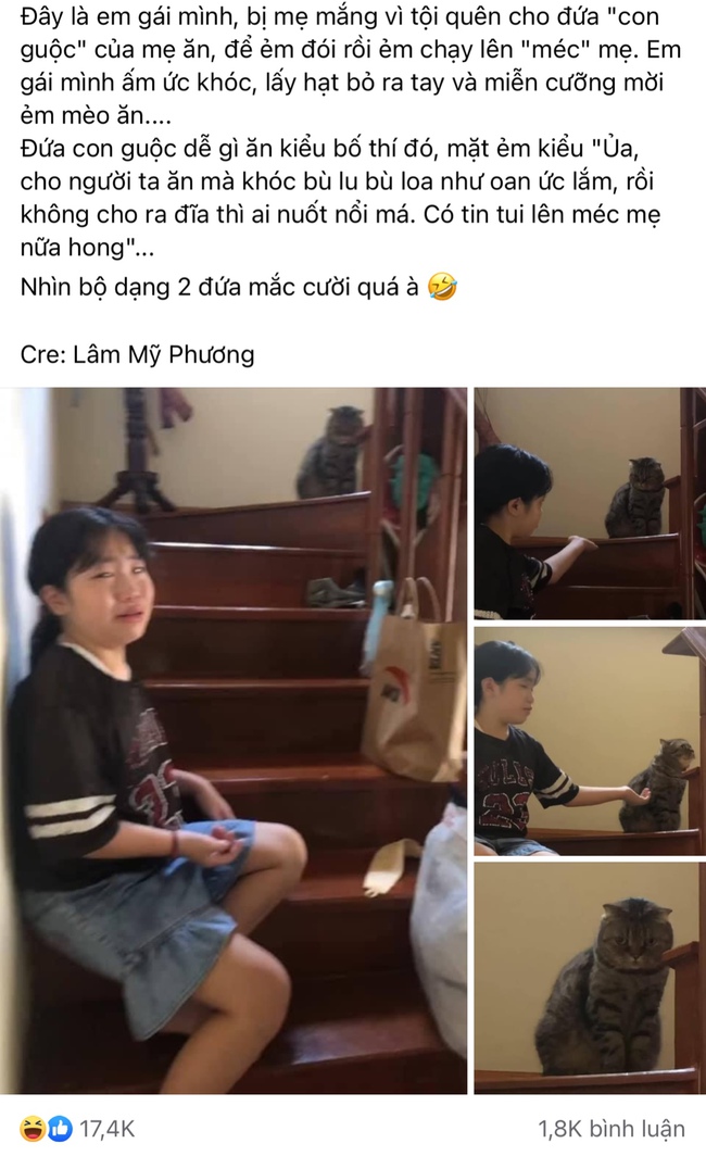 Bé gái khóc nức nở vì bị mẹ "thất sủng" khi quên cho "hoàng thượng" ăn, dân mạng bật cười vì sự đáng yêu - Ảnh 1.