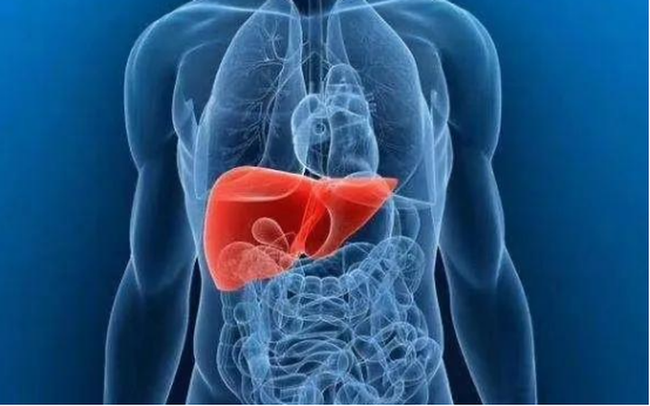 Mắt có mối quan hệ mật thiết với gan, nếu có 3 biểu hiện ở mắt, cần phải đi kiểm tra gan kịp thời - Ảnh 1.