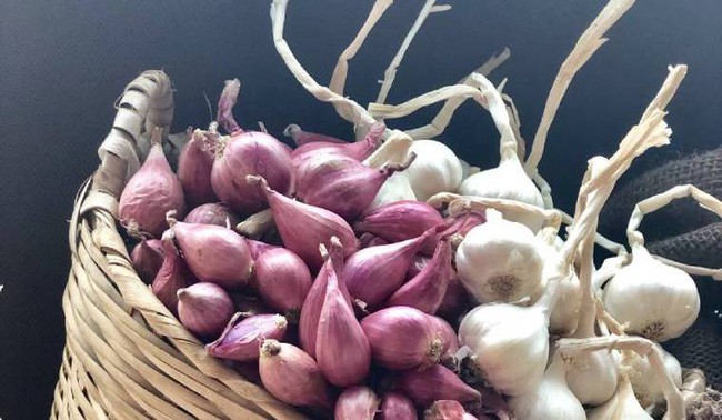7 món ăn là "bạn thân" của tuổi thọ và xuân sắc, nhiều chuyên gia đã tiết lộ từ lâu nhưng phụ nữ vẫn chưa biết dùng đúng cách - Ảnh 4.