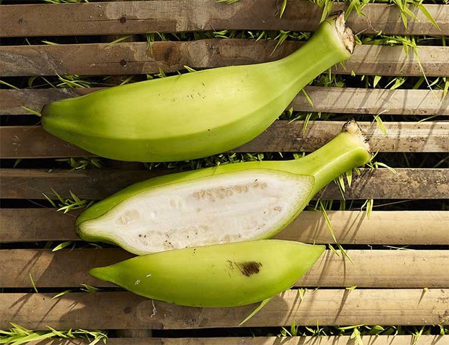 Loại chuối này được coi là thần dược trị bệnh, từ gốc đến ngọn đều được tận dụng, tiếc là người Việt không coi trọng vì không ngon - Ảnh 4.