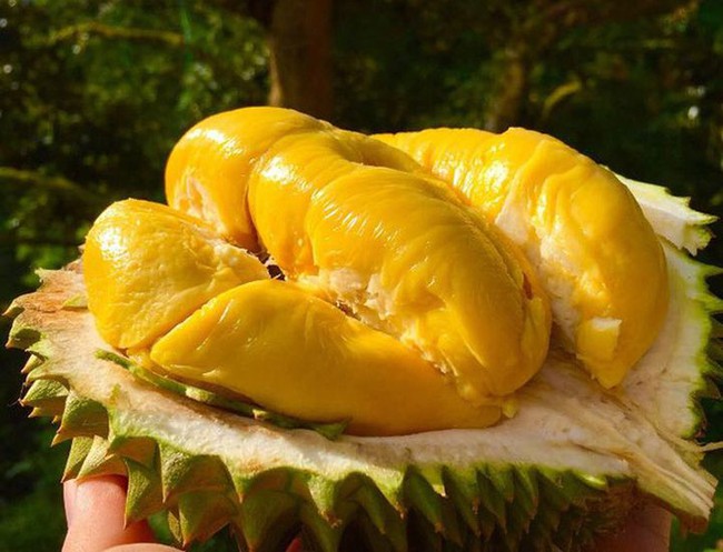 5 loại quả ăn rất ngon, nhưng lượng calo được công nhận ngang với "dầu", quả số 3 gây bất ngờ - Ảnh 2.