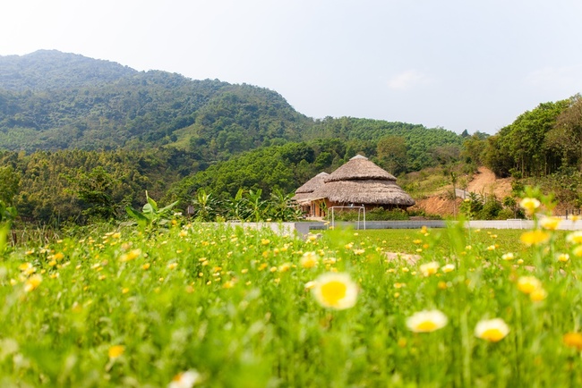 Ngôi trường đẹp như resort ở Hà Nội với 7 xưởng thực hành “chứa đựng” phương pháp học độc đáo - Ảnh 1.