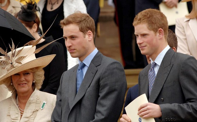 Từ "kẻ thứ 3" trở thành mẹ kế, Vương hậu mới của hoàng gia Anh đã chinh phục William và Harry nhờ 3 điều Quan Trọng - Ảnh 1.