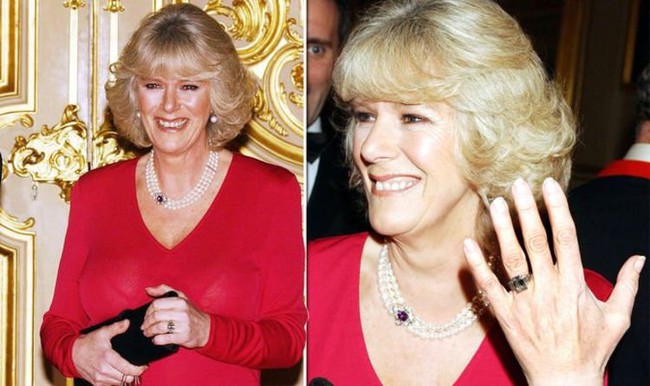 Khoảnh khắc cho thấy sự khác biệt đầy chua chát giữa Công nương Diana và "tình địch" Camilla khiến dưg luận dậy són - Ảnh 3.
