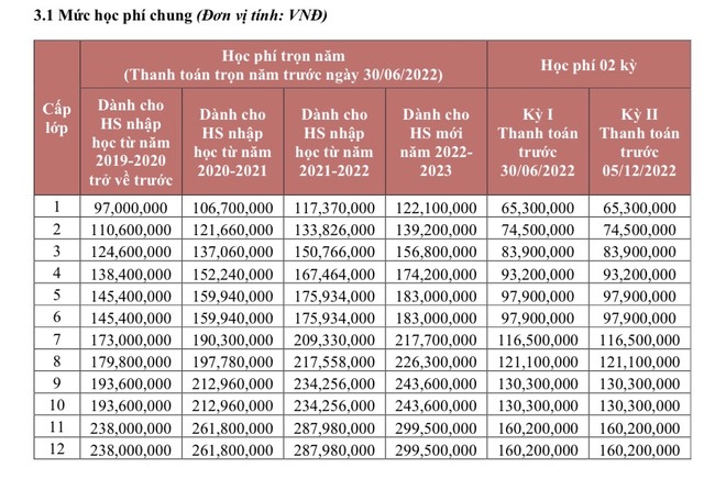 "Đọ" học phí của 10 trường tiểu học TƯ THỤC ở TP.HCM giảng dạy chương trình của Bộ GD&ĐT: Nơi tháng chưa tới 2 triệu, nơi nhìn con số mà toát mồ hôi - Ảnh 3.