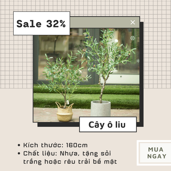 Mách kiểu decor phòng trọ thuê tối giản, vintage như người Hàn với 7 món nội thất dễ kiếm, giá sale hời cho các &quot;nàng lười&quot; - Ảnh 9.