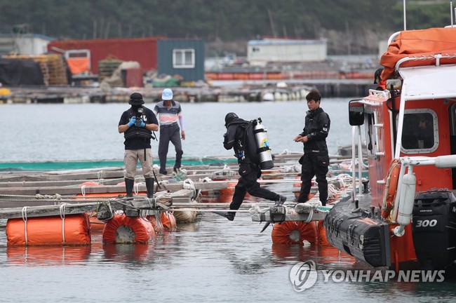 Cả gia đình mất tích trên đảo ở Hàn Quốc: Đã trục vớt được chiếc xe ô tô chìm sâu dưới biển, vụ việc có liên quan đến tiền ảo LUNA? - Ảnh 5.