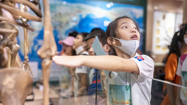 Trải nghiệm một ngày "xuyên qua mùa hè" của khối tiểu học ở ngôi trường 16 năm tuổi trên 15.000m2 quận Nam Từ Liêm - Ảnh 13.