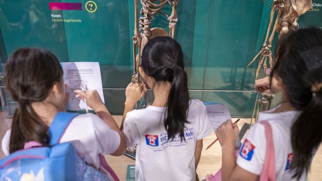 Trải nghiệm một ngày "xuyên qua mùa hè" của khối tiểu học ở ngôi trường 16 năm tuổi trên 15.000m2 quận Nam Từ Liêm - Ảnh 11.