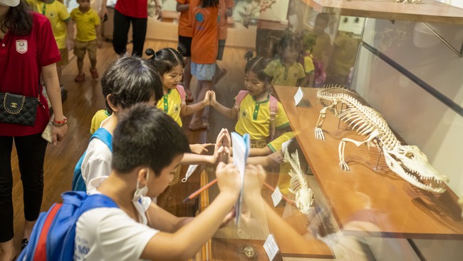 Trải nghiệm một ngày "xuyên qua mùa hè" của khối tiểu học ở ngôi trường 16 năm tuổi trên 15.000m2 quận Nam Từ Liêm - Ảnh 3.