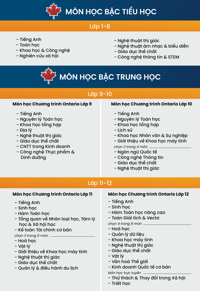 Điểm danh các trường THCS tư thục, quốc tế tại quận Cầu Giấy: Có 1 trường siêu hot, 3 năm liên tiếp có lớp 100% đỗ trường chuyên - Ảnh 7.